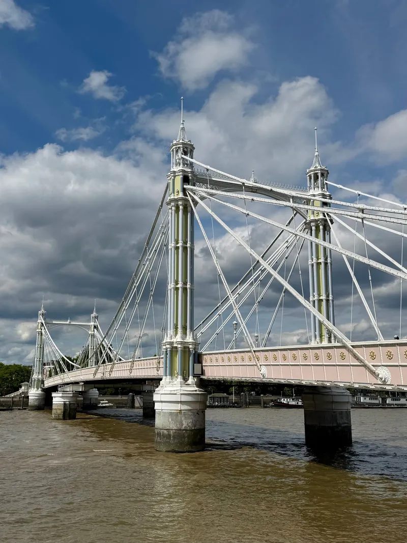 The towers and cables of Albert Bridge against a summer sky